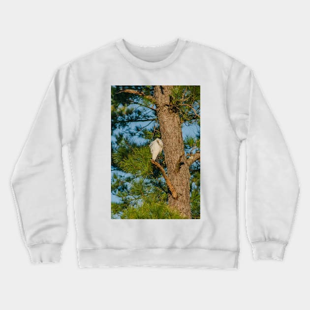 Shallotte Heron Crewneck Sweatshirt by KensLensDesigns